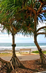 Sunshine Coast Solicitors